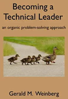 Becoming a Tech Lead