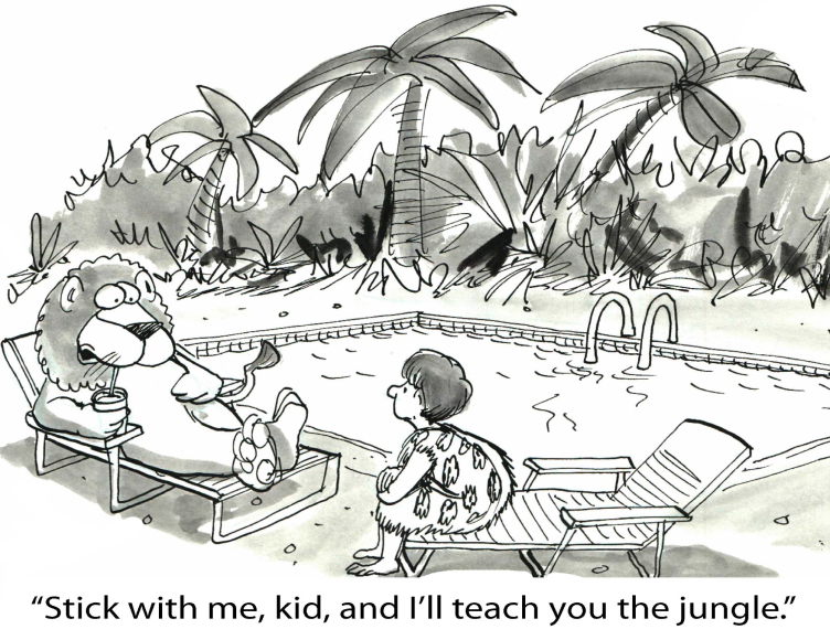 Importance of Mentorship