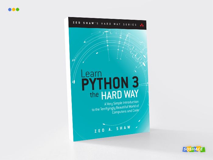 artwork depicting a stylized cover of "Learn Python the Hard Way)