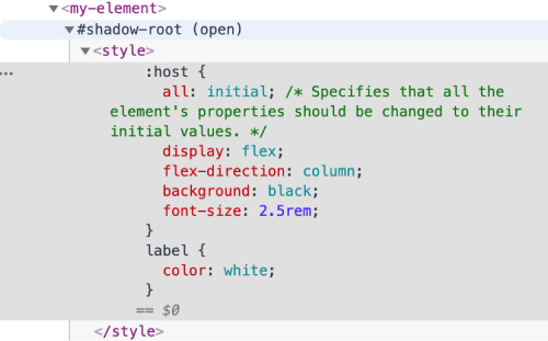 style tag in shadow DOM