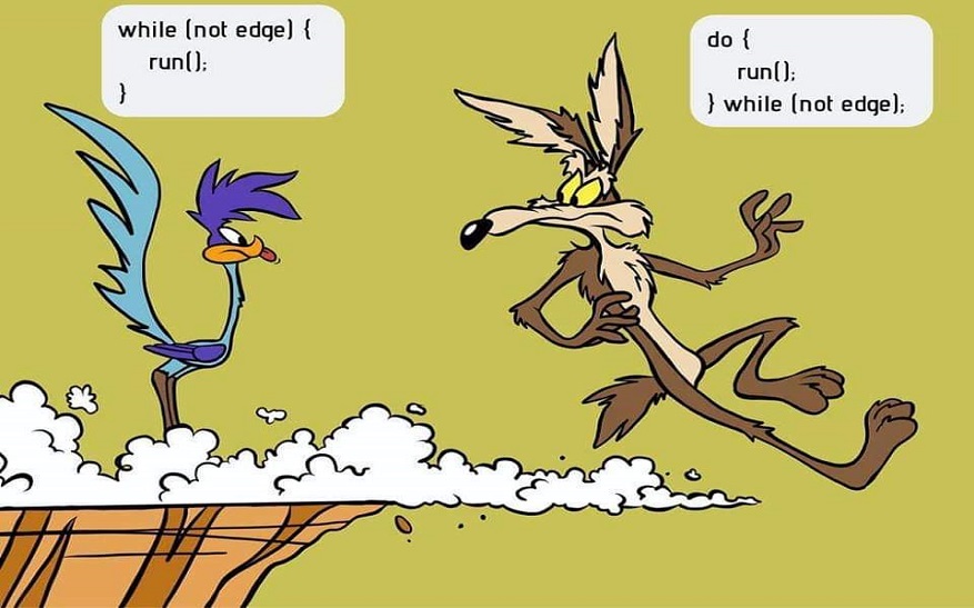 An image showing the difference between the while and do while loop.
