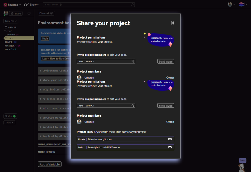  Share Glitch Project