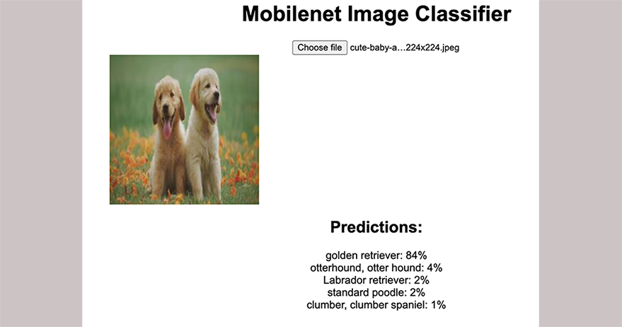 Output from image classifier Output from image classifier