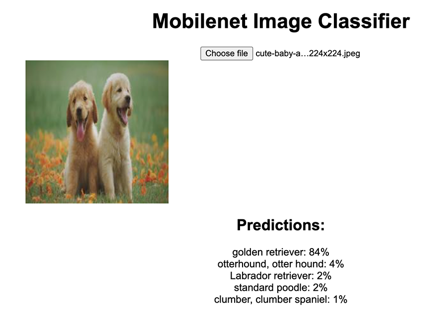Output from image classifier Output from image classifier