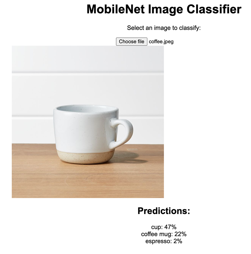 Output from image classifier Output from image classifier