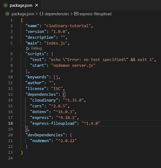 package.json file 