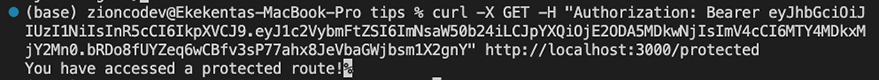 You have accessed a protected route You have accessed a protected route