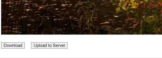 Upload to backend web server