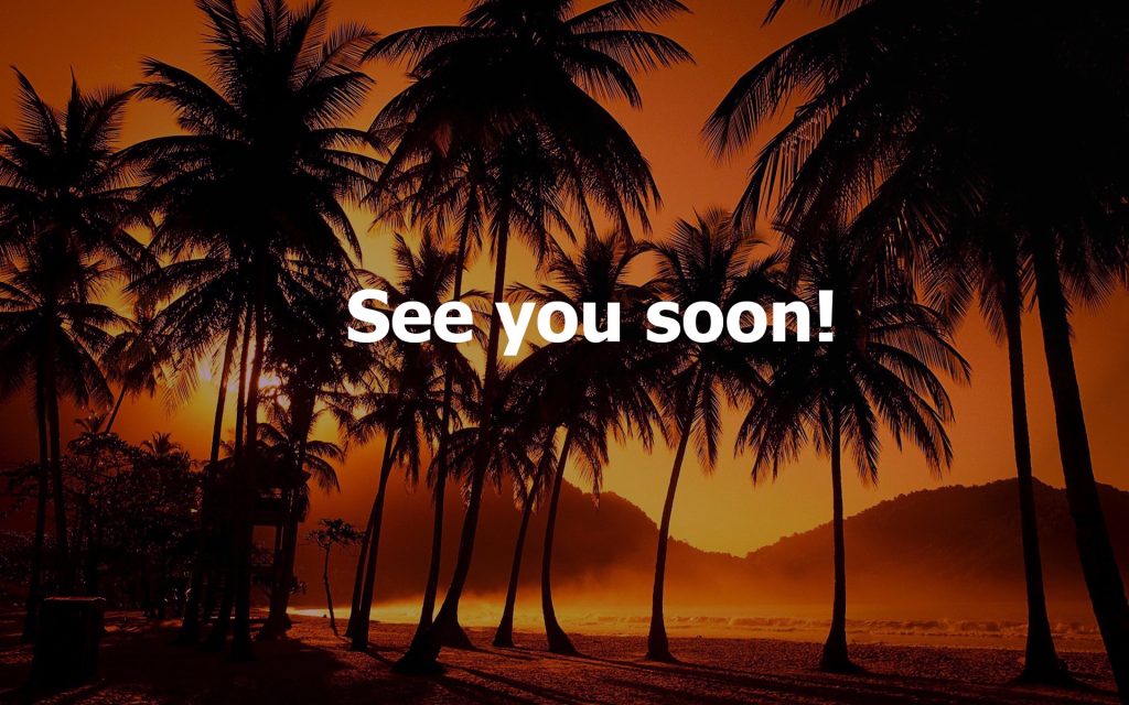 sunset-palms-wallpaper-1