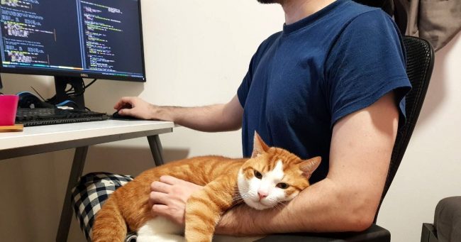 Damir and His Cat
