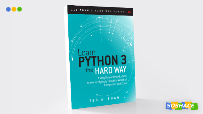 artwork depicting a stylized cover of "Learn Python the Hard Way)